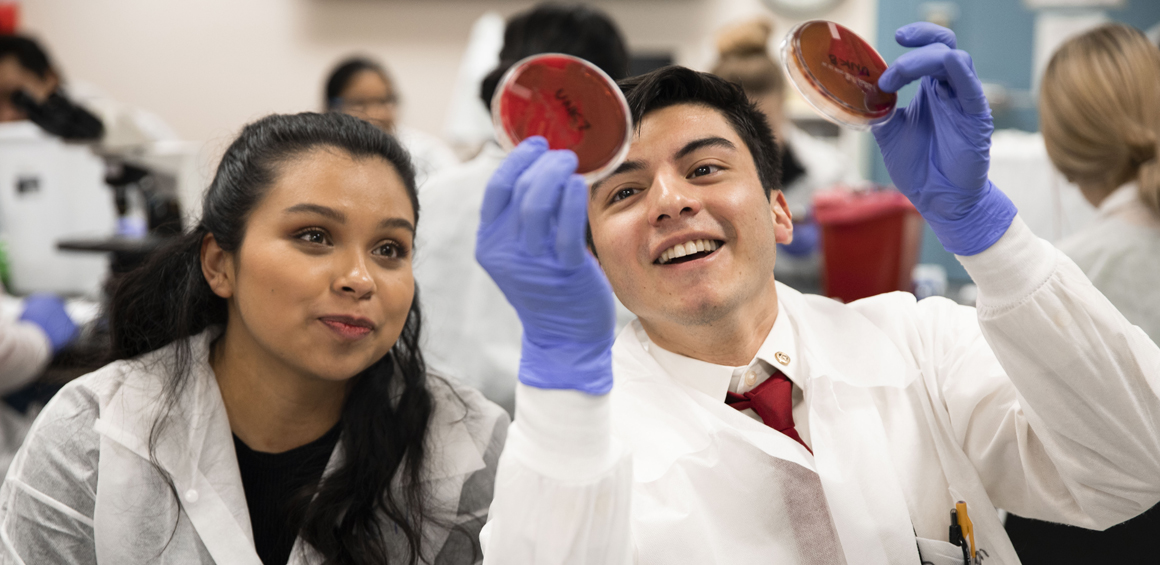 TTUHSC students in a lab studying samples