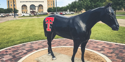 Pride of the Masked Rider