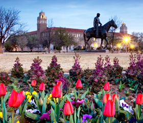 Will Rogers dusk with flowers TTU campus