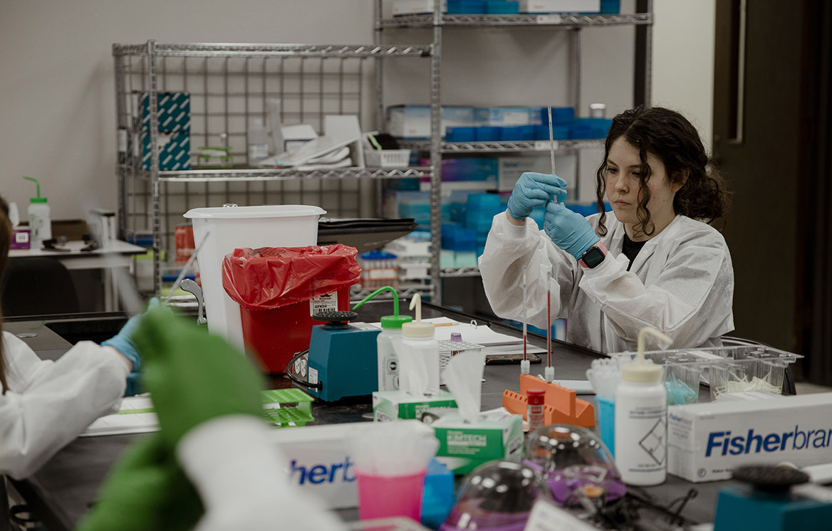 MLS students working in the lab