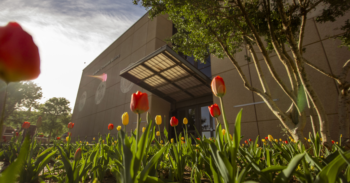 TTUHSC building behind tulips