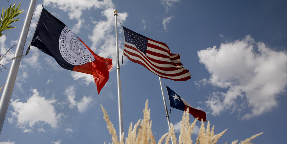 Flags waving in the wind