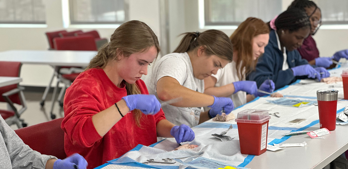 TTUHSC students sitting a a table with gloves on threading and stitching up sample materials.