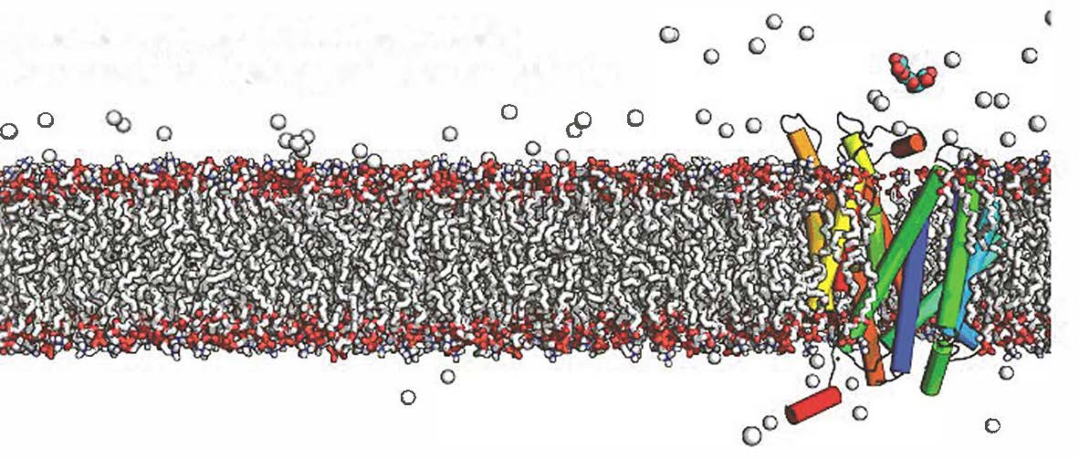 Drawing of molecular structure