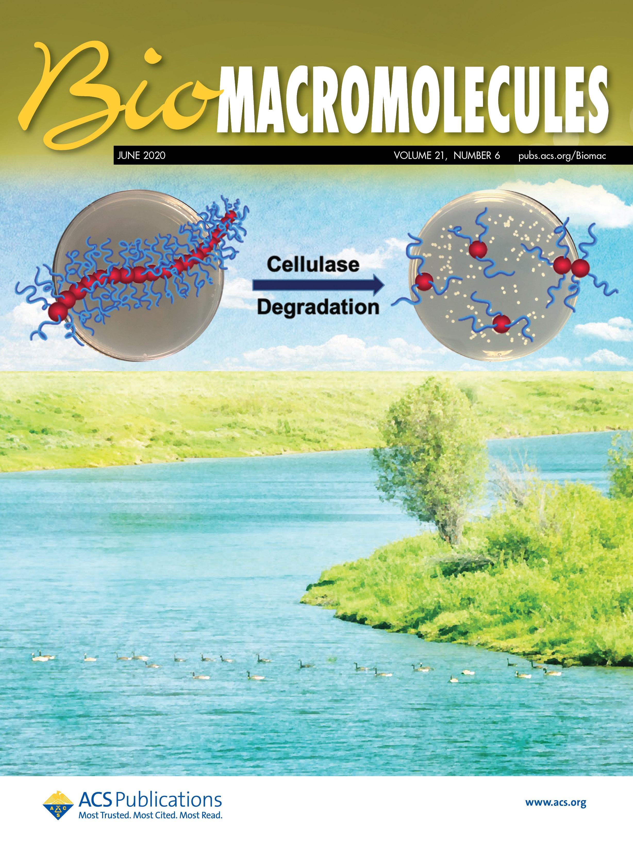 BioMacromolecules