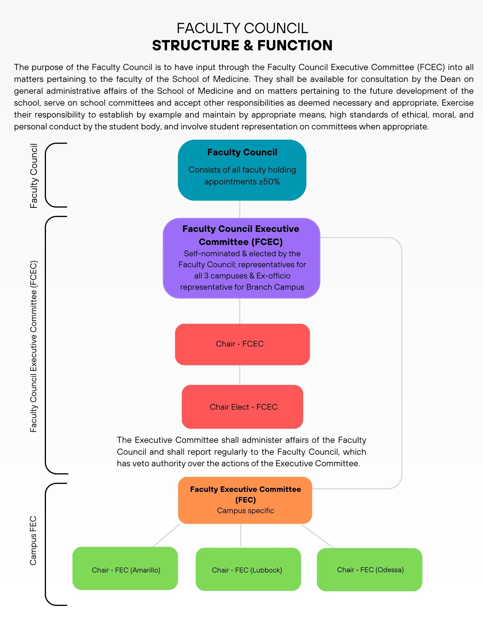 Faculty Council, FCEC, FEC Structure