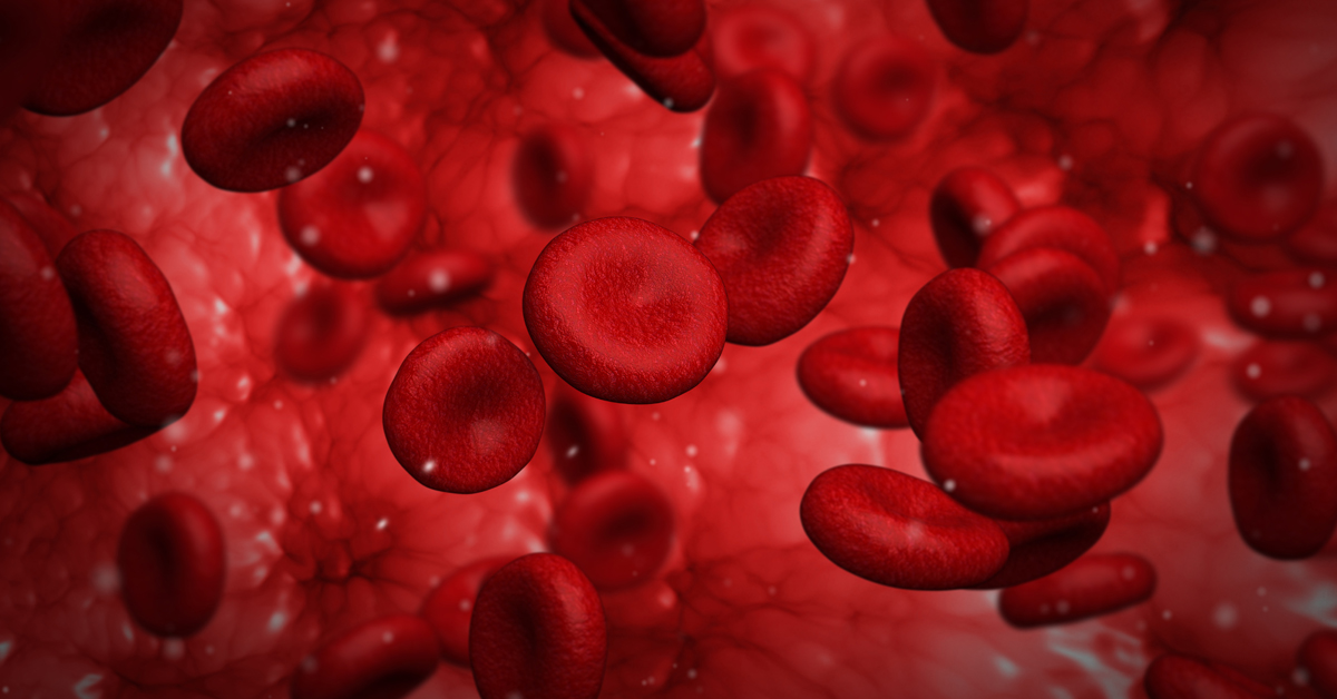 Red Blood Cells