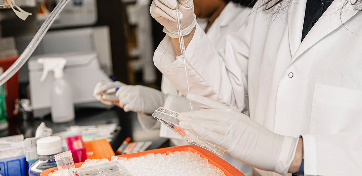 two TTUHSC students in white lab coats in a lab with rubber gloves handling seringes