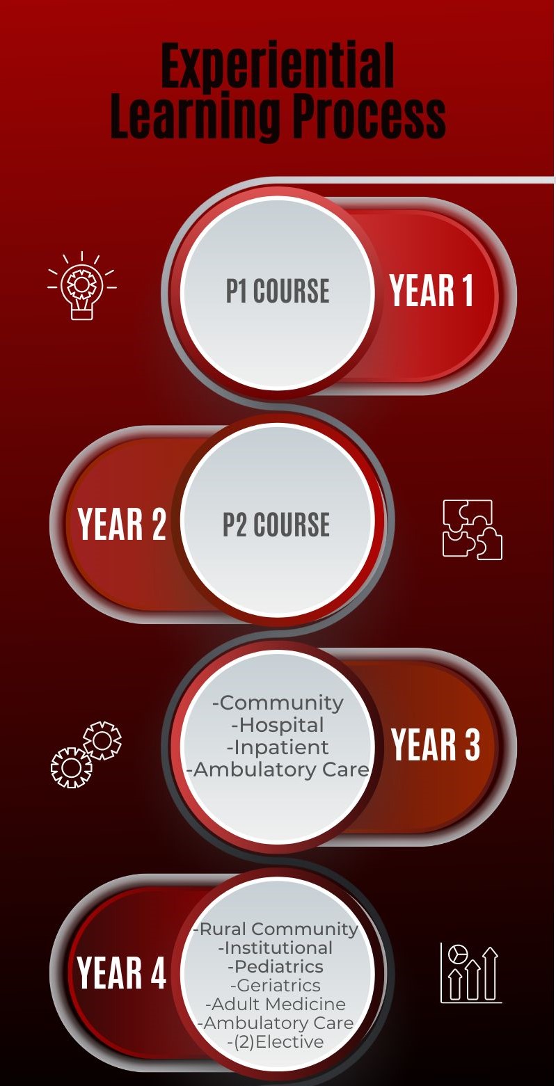 Experietial Learning Process Chart