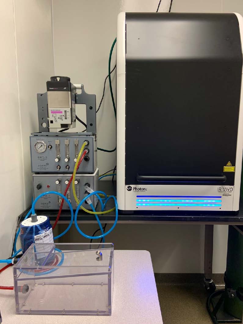 IR VIVO NIR-II Preclinical