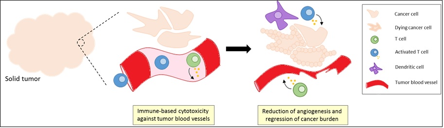 Tumor Image