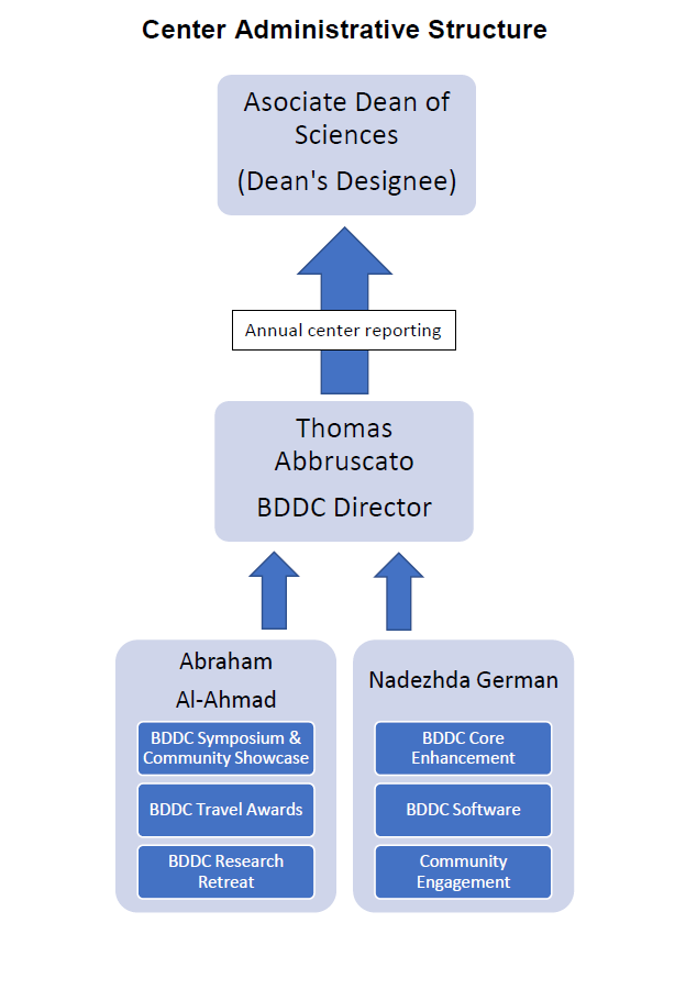 Center Administrative Structure