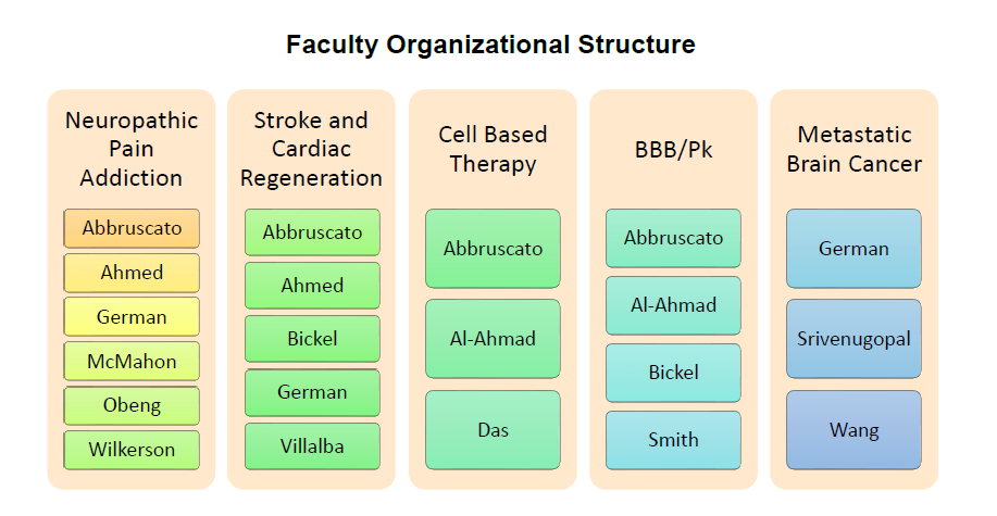 Faculty Organizational Structure