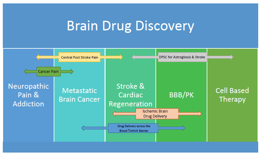 BDDC History Chart