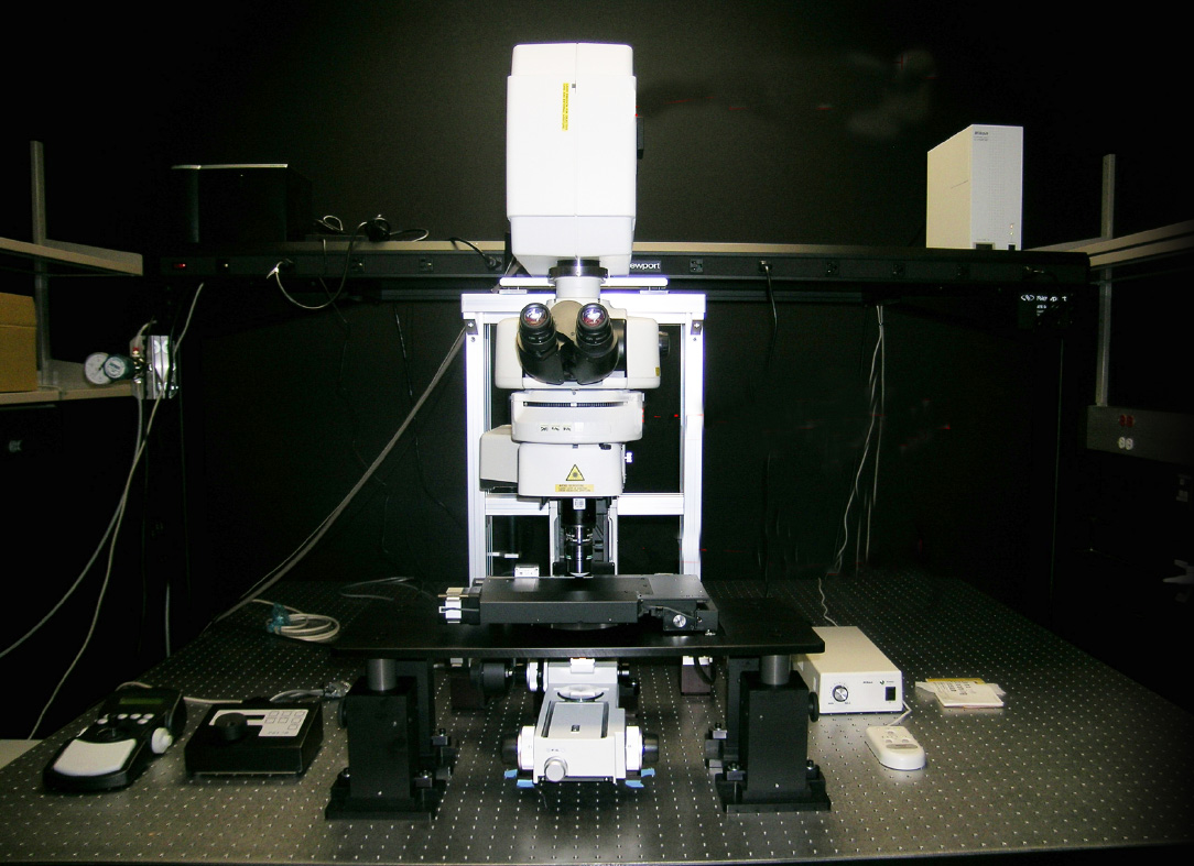 Nikon Multiphoton Microscope