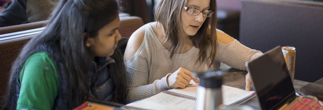 Students studying